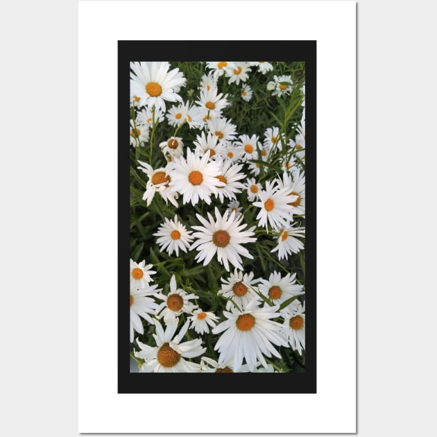 White Daisies Wall Art by Elizabeths-Arts